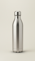 Stainless Steel Insulated Water Bottle